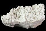 Dolomite Crystal Cluster - Penfield, NY #68863-3